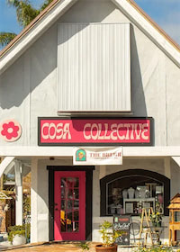 Cosa Collective